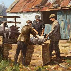 Dipping Sheep Near Waterfoot