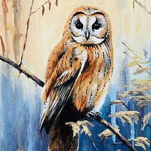 The Owl